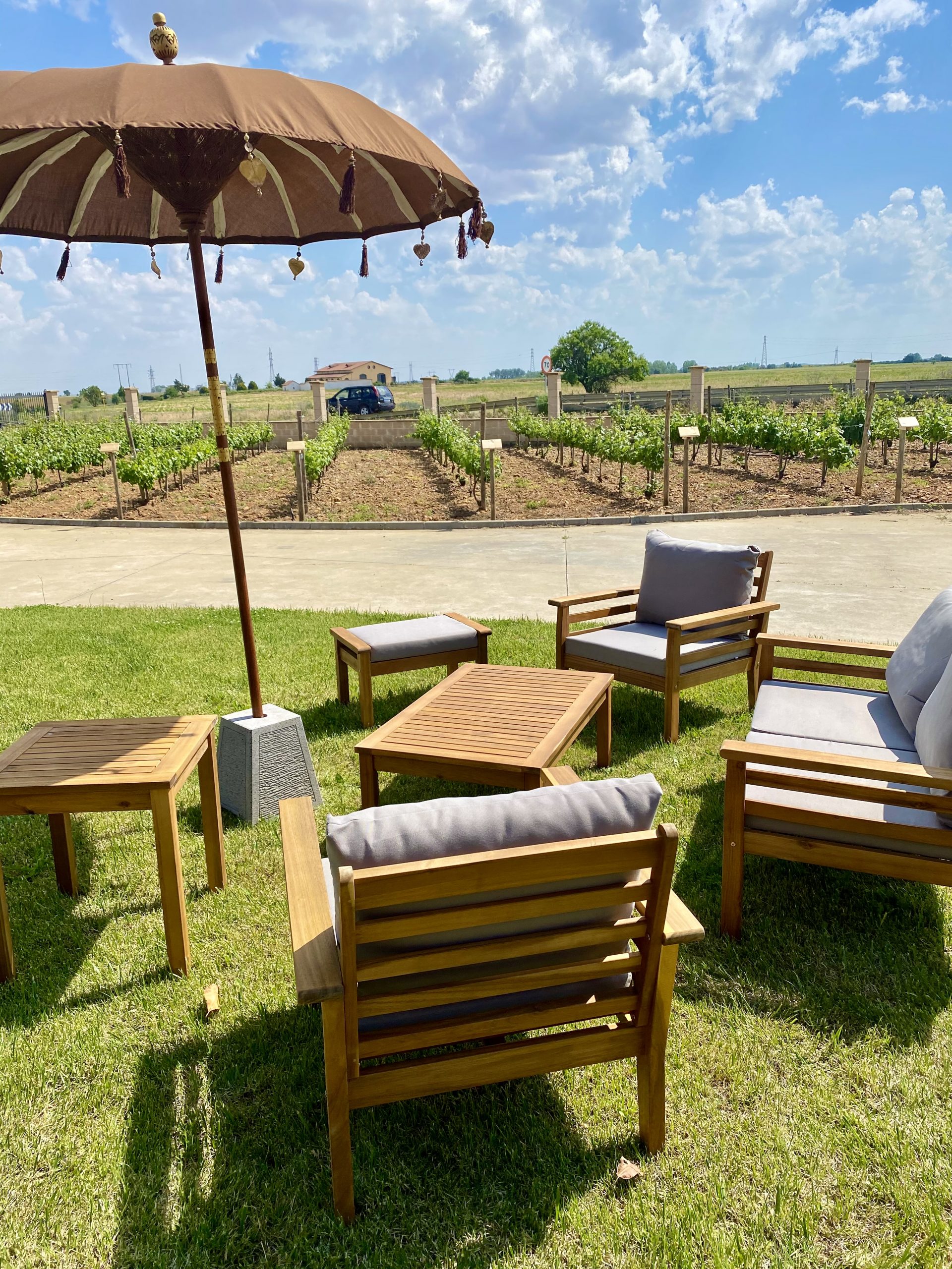 Bodegas Vitalis – zona para visitantes con vistas a los viñedos Bodegas Vitalis - zona para visitantes con vistas a los viñedos